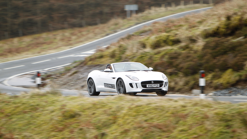 Illustration for article titled This Is Your Jaguar F-Type Mega Gallery